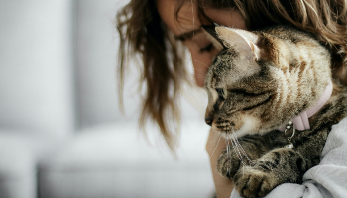 Mulher abraçando com carinho seu gato
